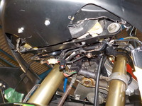 DSCN0401