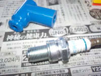DSCN8037