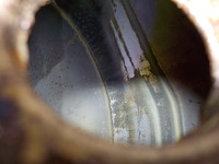 DSCN6975