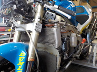 DSCN4631