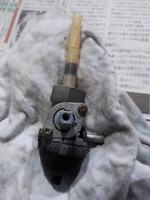 DSCN7913