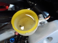 DSCN3010