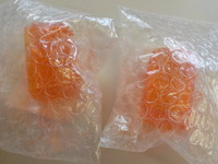 DSCN9559