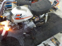 DSCN6380