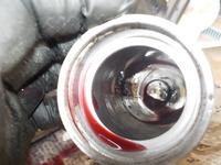 DSCN4465