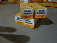 DSCN3022