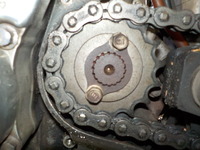 DSCN5597
