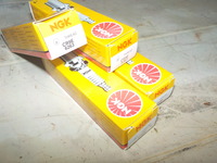 DSCN3173