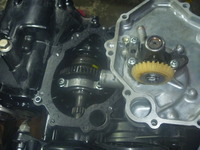 P1170835