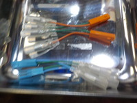 DSCN5601