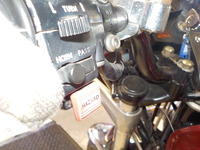 DSCN7857