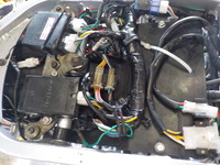 DSCN2955