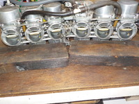DSCN5313