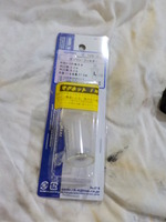 DSCN6006