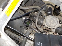 DSCN6591
