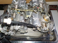 DSCN5267