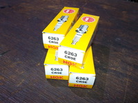 DSCN6175
