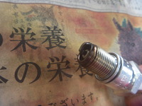 P1050081