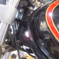 DSCF6981