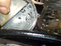 DSCN6203
