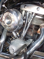 DSCN3083