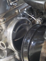 DSCN8571