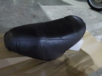 DSCN0965