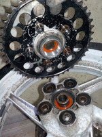 DSCN8726