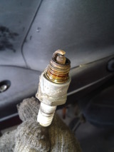 lets2-ca1pa20120828ws (8)