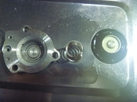 P1040013
