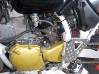 DSCN7114