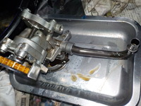 DSCN5729