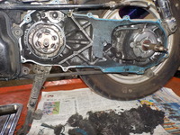DSCN8579
