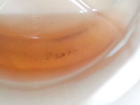 DSCN1349