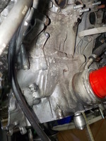 DSCN3681
