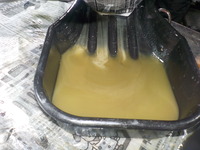 DSCN5587