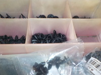 DSCN5615