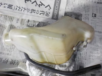 DSCN3686