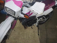 DSCN9559