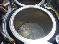 P1010466