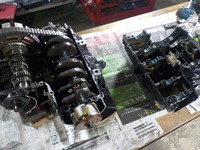 DSCN0666