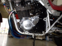 DSCN6038