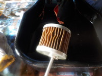 DSCN6162
