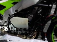 DSCN8535