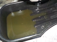 DSCN4936