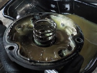 DSCN5525