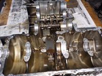 DSCN9527