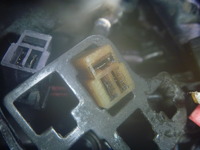 P1130112