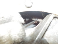 DSCN2816