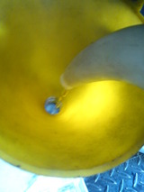 20110811 (10)